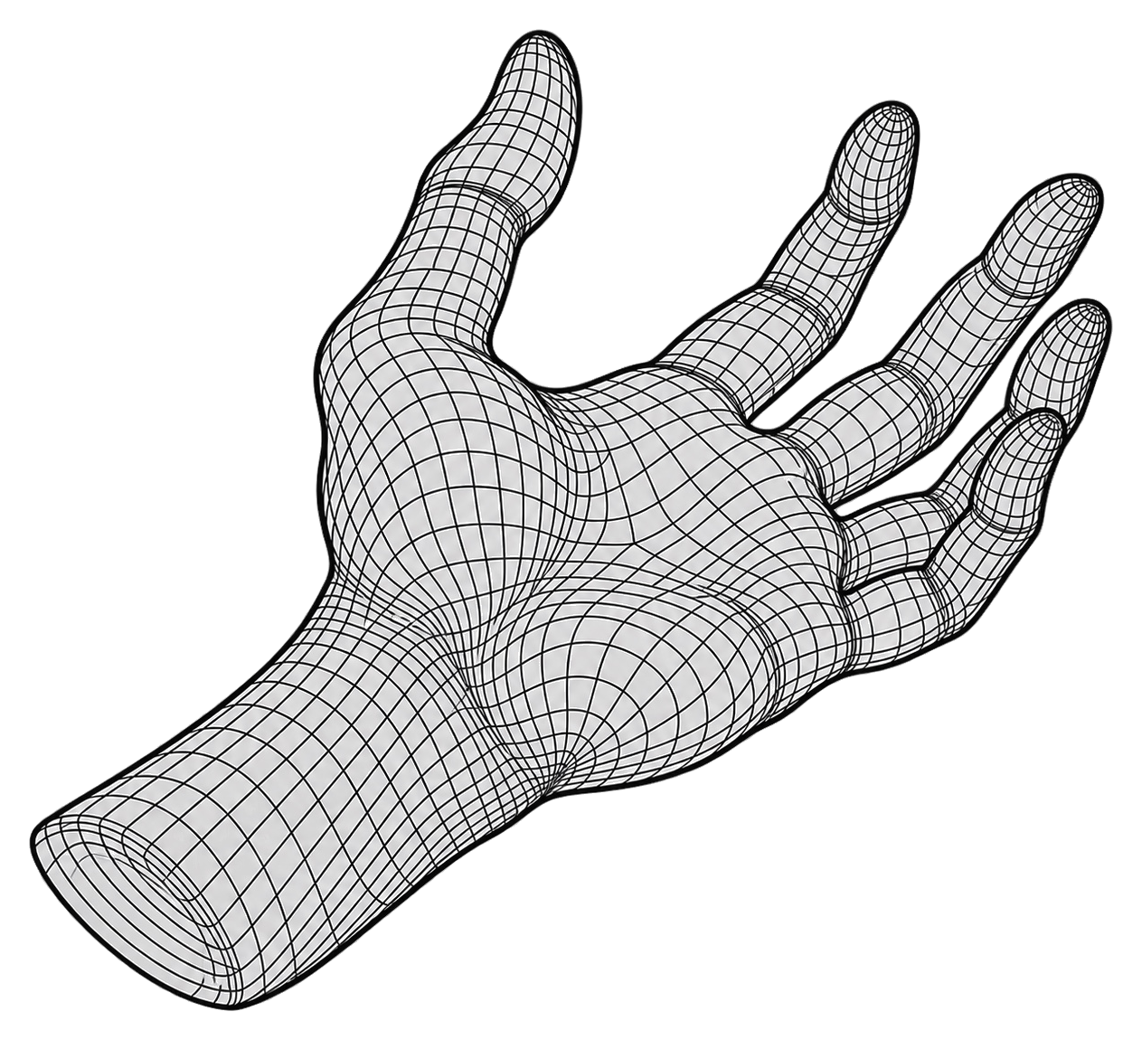 Anatomical Mesh Palm
